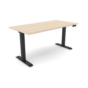 i5 Industries iRize Standing Desk, 24” D x 48” W