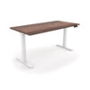 i5 Industries iRize Standing Desk - Walnut White Base